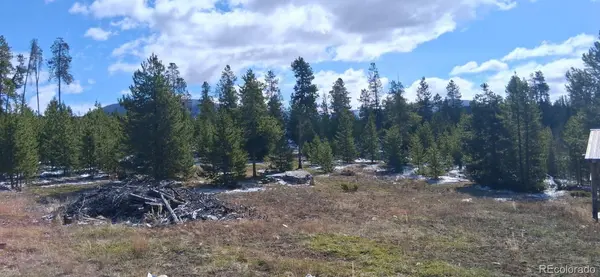 164 County Road 443, Grand Lake, CO 80447