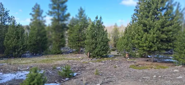 164 County Road 443, Grand Lake, CO 80447