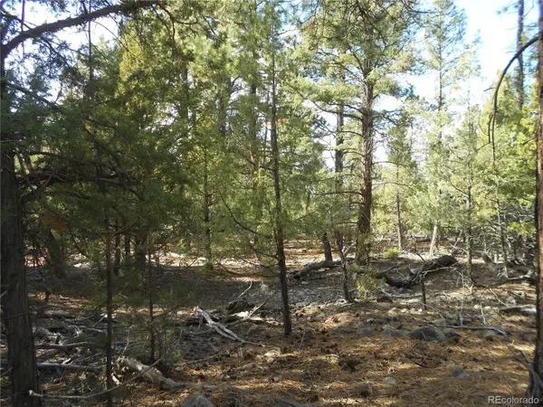 206 W Zapata PL, Mosca, CO 81146