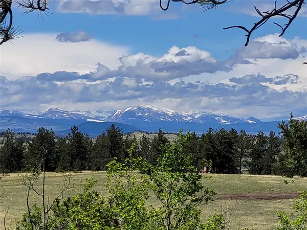 1080 Brahma CIR, Hartsel, CO 80449