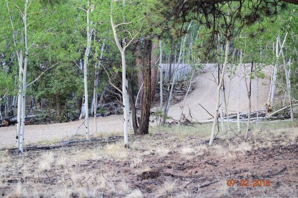 1080 Brahma CIR, Hartsel, CO 80449