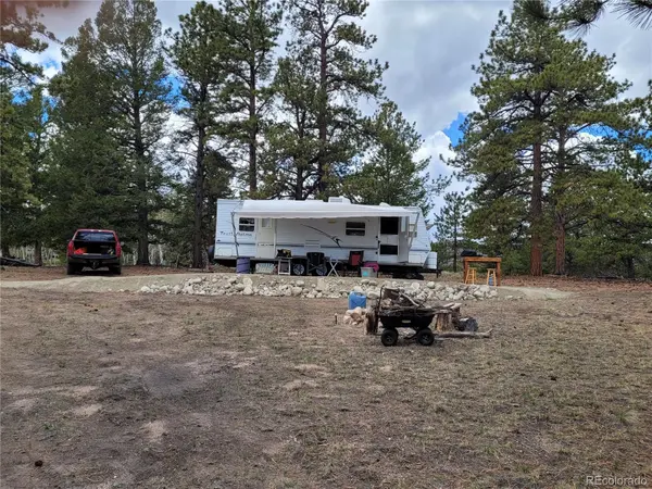 1080 Brahma CIR, Hartsel, CO 80449