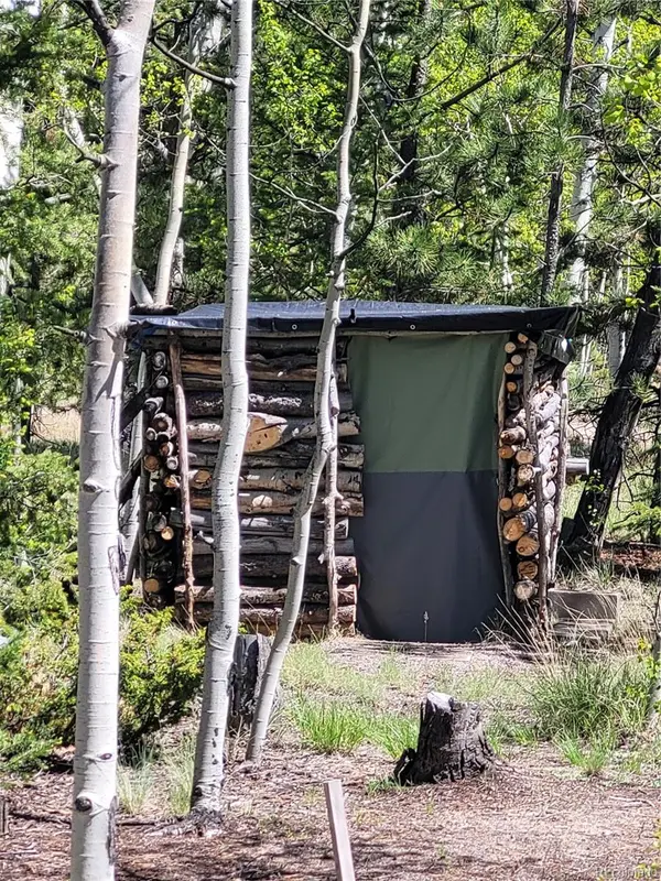 1080 Brahma CIR, Hartsel, CO 80449