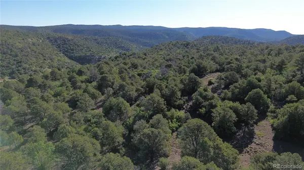 16198 Picketwire RD, Trinidad, CO 81024