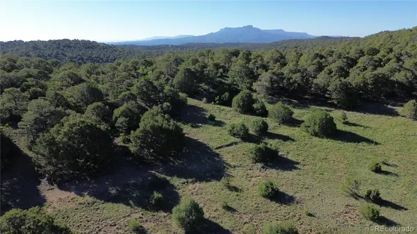 16198 Picketwire RD, Trinidad, CO 81024