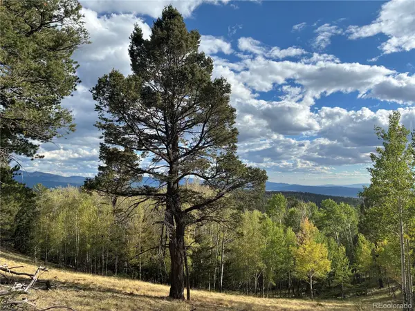 LOT 5597 Nettler RD, San Luis, CO 81152