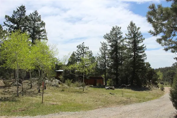 234 Panorama DR, Bailey, CO 80421