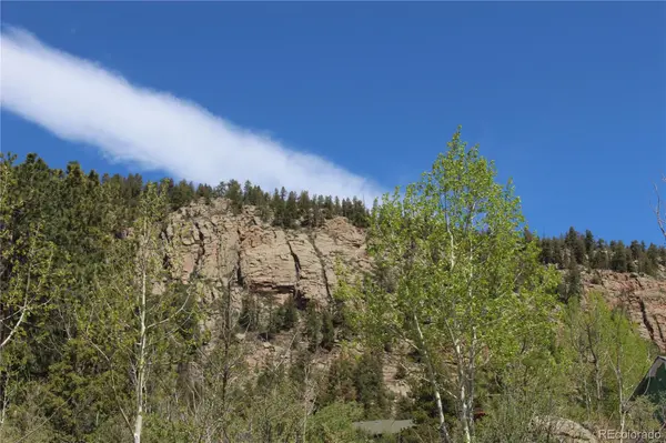 234 Panorama DR, Bailey, CO 80421