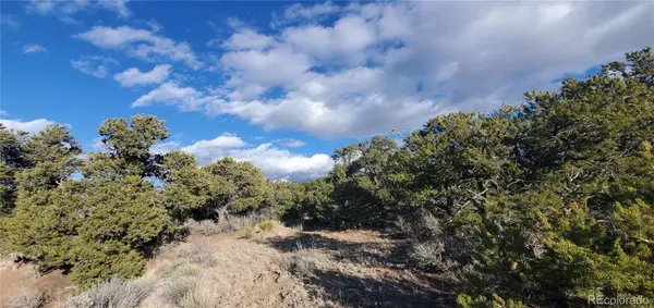 Lot 1057 Hotchkiss RD, Fort Garland, CO 81133