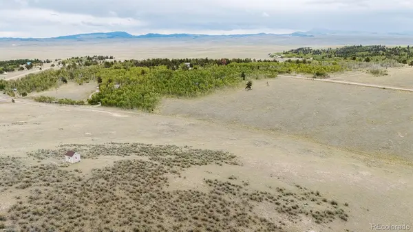 1255 Bolster DR, Hartsel, CO 80449