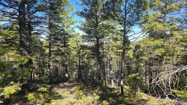 Lot 6034 Wood RD, San Luis, CO 81152