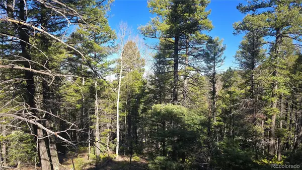 Lot 6034 Wood RD, San Luis, CO 81152