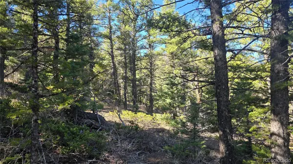 Lot 6034 Wood RD, San Luis, CO 81152