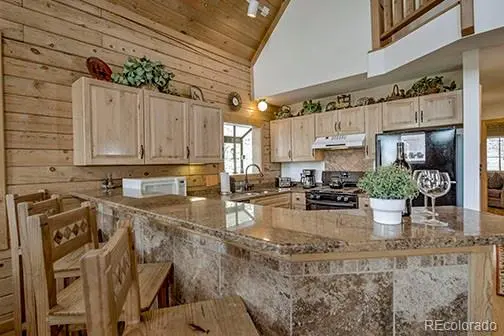 146 Protector PL, Breckenridge, CO 80424