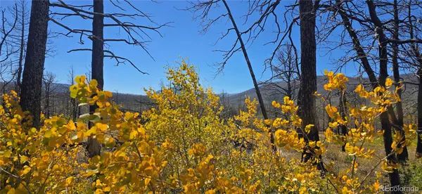 Lot 1684 Emery LOOP, Fort Garland, CO 81133