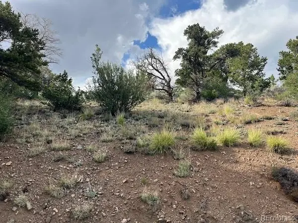 Lot 5056 France Aimee RD, Fort Garland, CO 81133