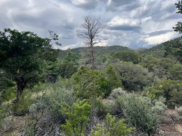 Lot 5056 France Aimee RD, Fort Garland, CO 81133