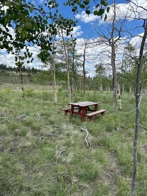 807 Bolster DR, Hartsel, CO 80449