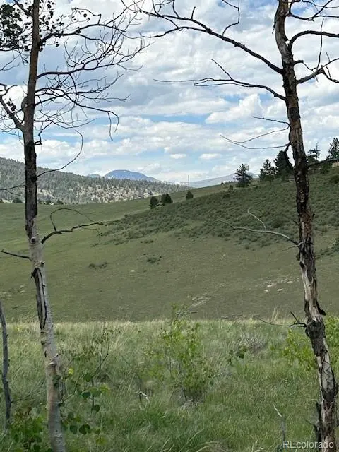 807 Bolster DR, Hartsel, CO 80449