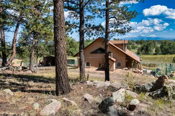 3153 Homestake PL, Florissant, CO 80816