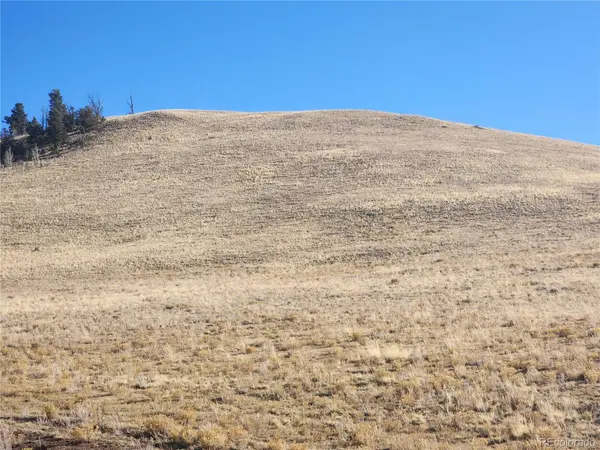 Coweta TRL, Hartsel, CO 80449
