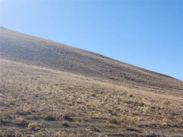 Coweta TRL, Hartsel, CO 80449