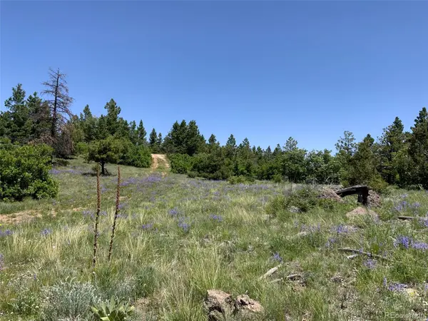 000 Peak View Ridge, Canon City, CO 81212