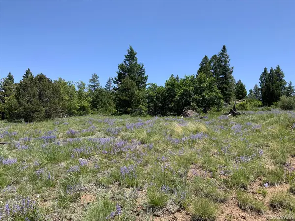 000 Peak View Ridge, Canon City, CO 81212