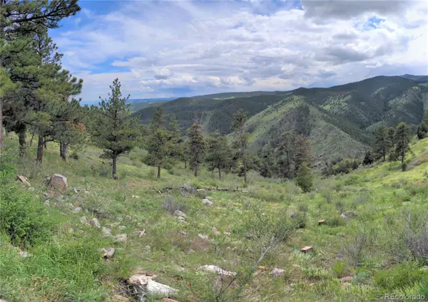 25421 Westridge RD, Golden, CO 80403