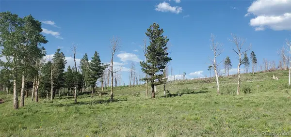 Lot 2120 Sigler DR, Fort Garland, CO 81133