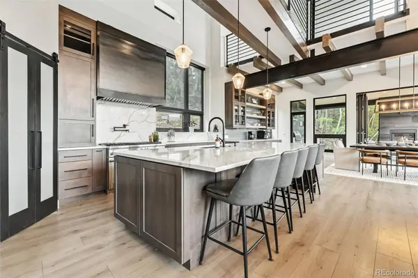 2520 Boreas Pass RD, Breckenridge, CO 80424