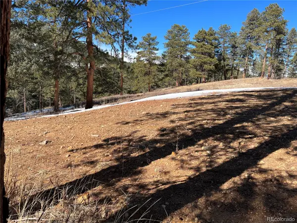 Lot 1 Iowa Gulch RD, Morrison, CO 80465