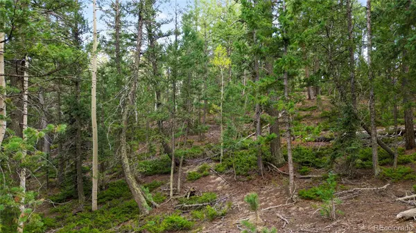68 Yale PL, Woodland Park, CO 80863