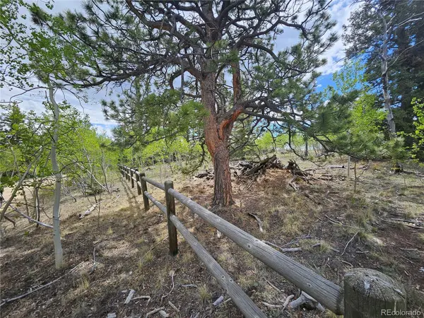 412 Smith And Wesson RD, Como, CO 80456