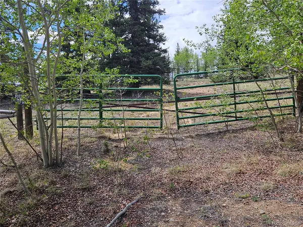 412 Smith And Wesson RD, Como, CO 80456