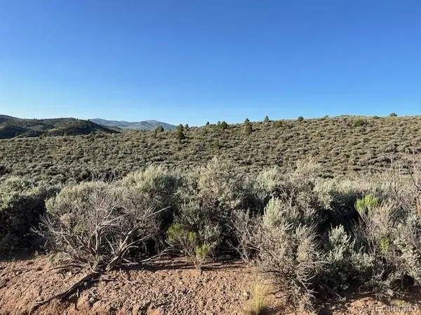 Lot 4763 Spencer RD, Fort Garland, CO 81133