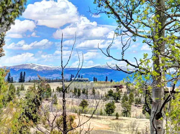 258 Old Squaw RD, Como, CO 80432
