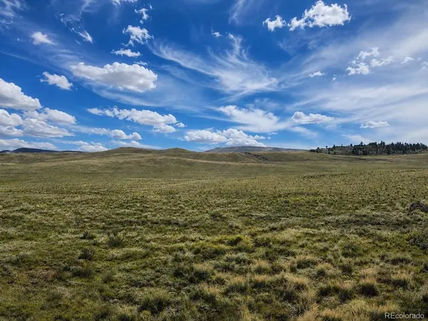 2972 Jumano TRL, Hartsel, CO 80449