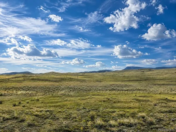 2972 Jumano TRL, Hartsel, CO 80449