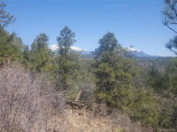 County Rd 23.3, Weston, CO 81091