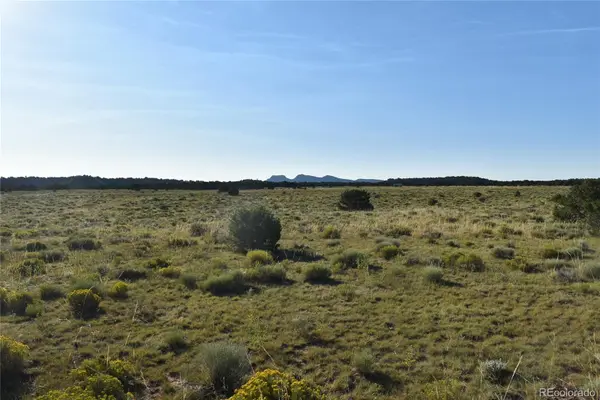000 Lizard LN, Gardner, CO 81040