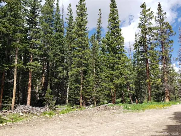 586 El Lobo LN, Fairplay, CO 80440