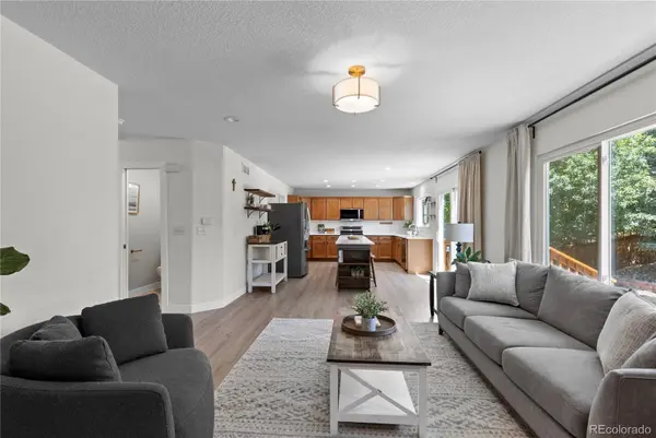 3050 Springbriar DR, Castle Rock, CO 80109