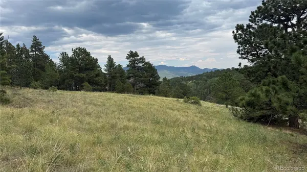 003 Church Placer RD, Central City, CO 80427