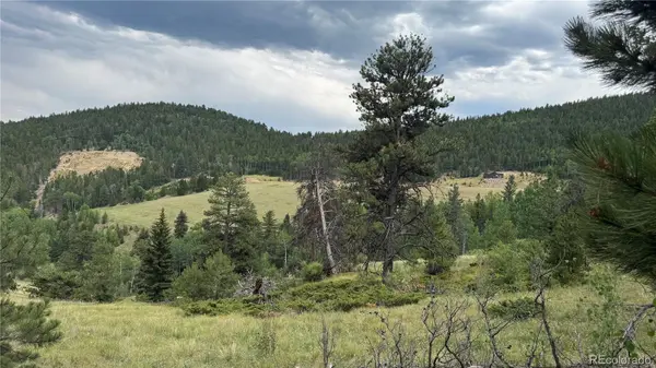 003 Church Placer RD, Central City, CO 80427