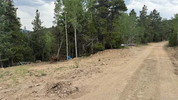 003 Church Placer RD, Central City, CO 80427