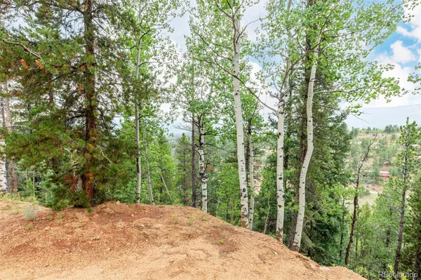 427 Wise RD, Bailey, CO 80421