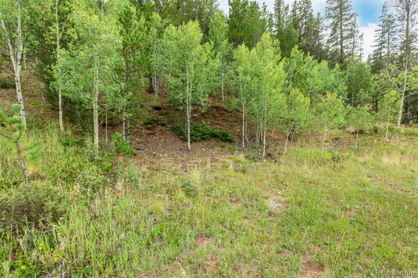 427 Wise RD, Bailey, CO 80421