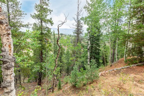 427 Wise RD, Bailey, CO 80421