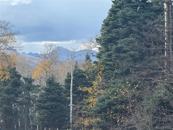 2662 Petito DR, Fort Garland, CO 81133